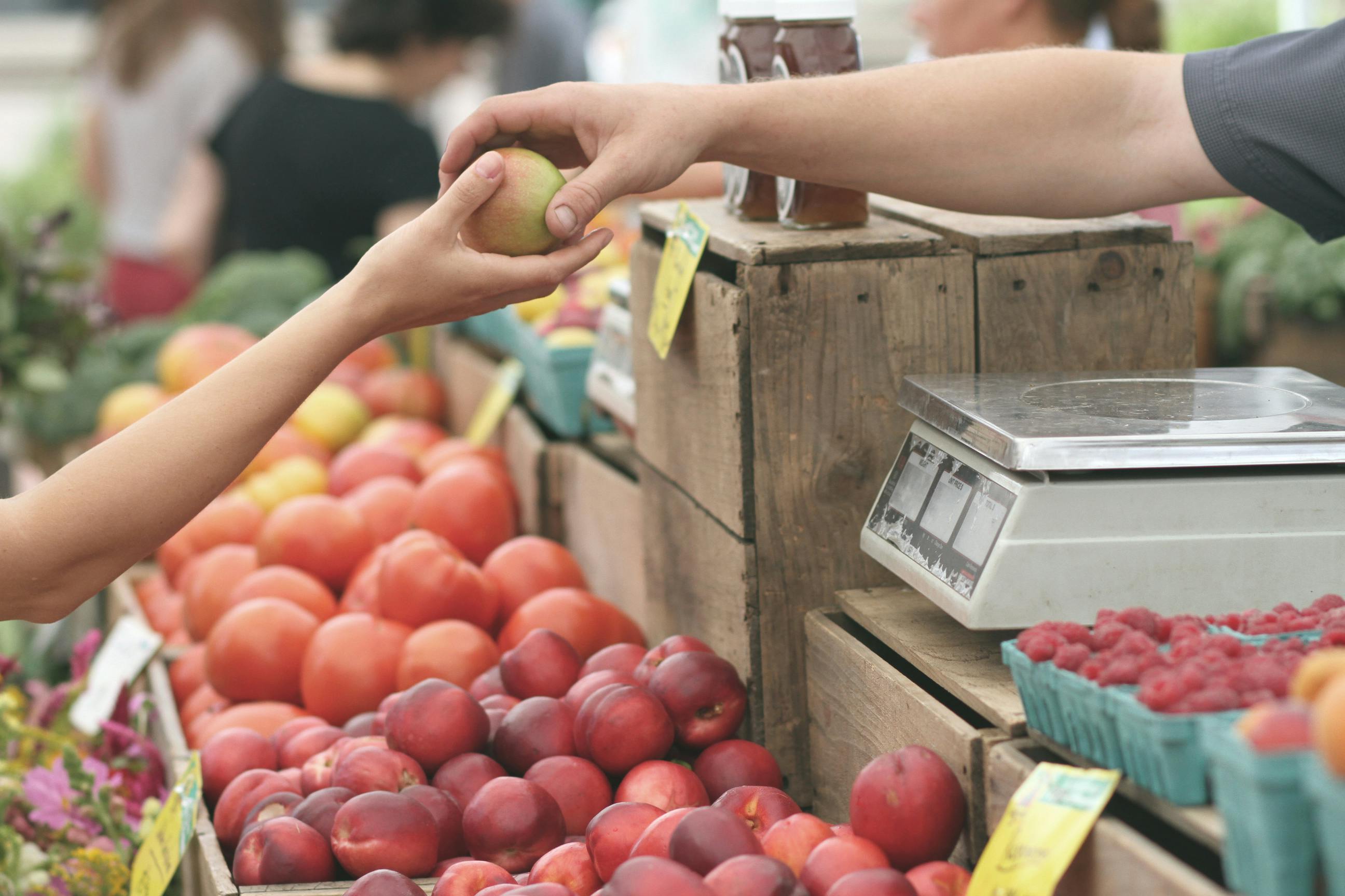 Market System Development